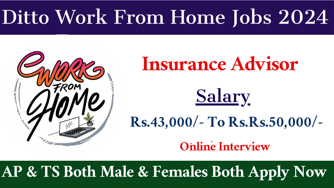 Ditto Work From Home Jobs 2024