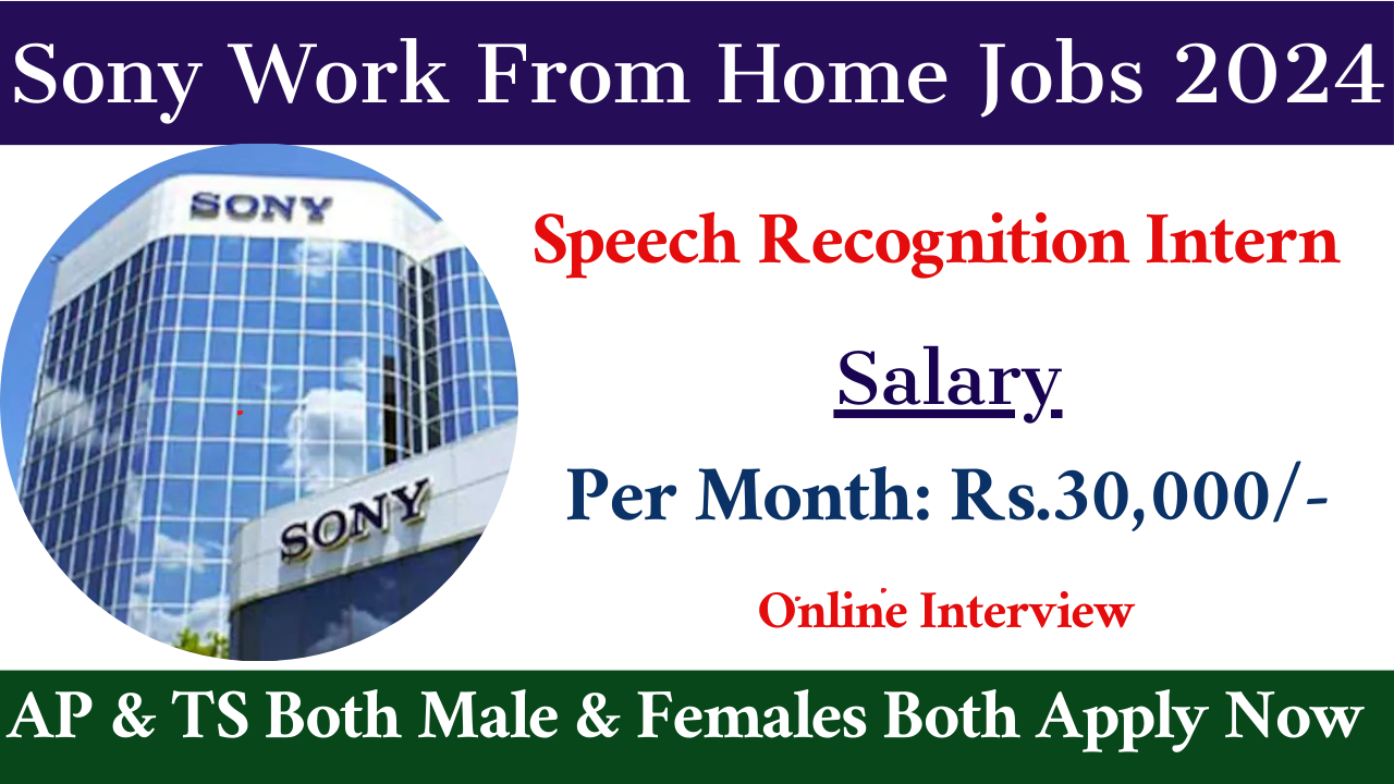 Sony Work From Home Jobs 2024